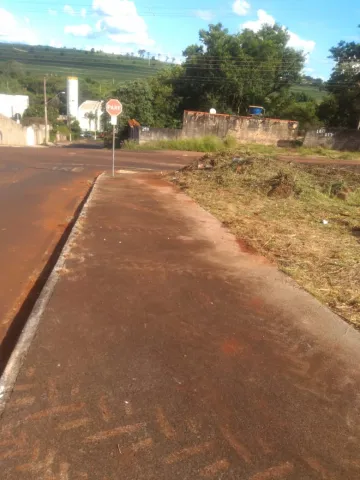 Comprar Terrenos / Padrão em Ribeirão Preto R$ 210.000,00 - Foto 10