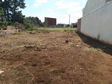 imagem 1 - TERRENO NA AVENIDA PATRIARCA imagem 1 - TERRENO NA AVENIDA PATRIARCA