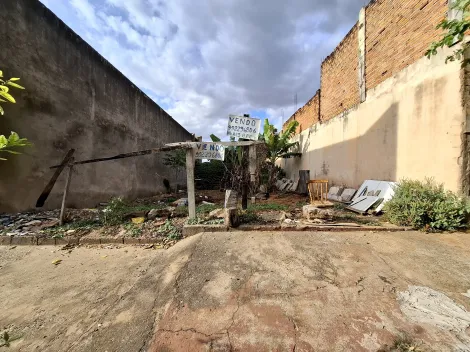 imagem 3 - Terreno de 300m² pronto para construir à venda - Parque Ribeirão imagem 3 - Terreno de 300m² pronto para construir à venda - Parque Ribeirão