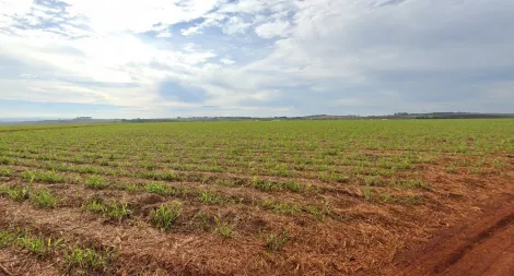 imagem 3 - Área com 1.350.300m² de terreno à venda - Reserva Macaúba imagem 3 - Área com 1.350.300m² de terreno à venda - Reserva Macaúba