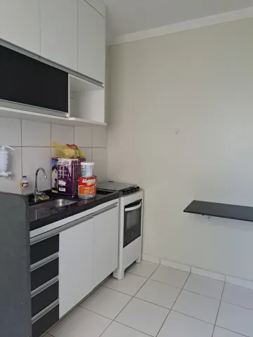 imagem 3 - Apartamento - Padrão imagem 3 - Apartamento - Padrão
