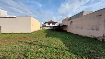 imagem 1 - Excelente terreno à 40 m da av. João Fiúsa imagem 1 - Excelente terreno à 40 m da av. João Fiúsa