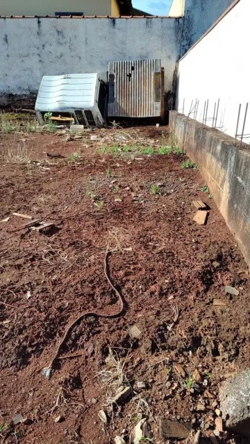 imagem 2 - TERRENO EM BRODOWSKI imagem 2 - TERRENO EM BRODOWSKI