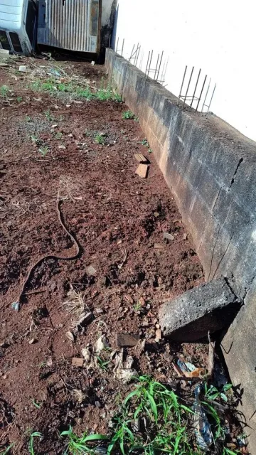 imagem 3 - TERRENO EM BRODOWSKI imagem 3 - TERRENO EM BRODOWSKI