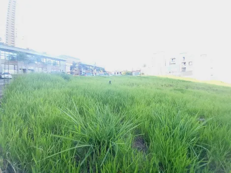 imagem 1 - Terreno plano para venda ou locação - Jardim Botânico imagem 1 - Terreno plano para venda ou locação - Jardim Botânico