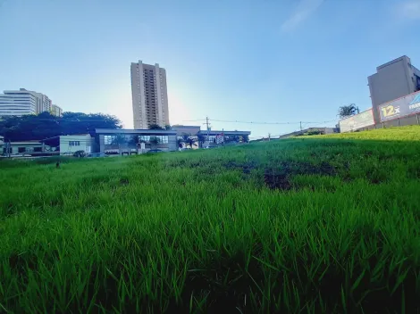 imagem 2 - Terreno plano para venda ou locação - Jardim Botânico imagem 2 - Terreno plano para venda ou locação - Jardim Botânico