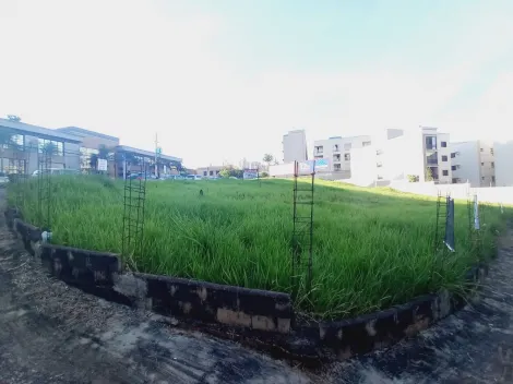 imagem 3 - Terreno plano para venda ou locação - Jardim Botânico imagem 3 - Terreno plano para venda ou locação - Jardim Botânico