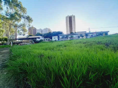 imagem 4 - Terreno plano para venda ou locação - Jardim Botânico imagem 4 - Terreno plano para venda ou locação - Jardim Botânico