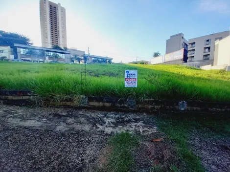 imagem 5 - Terreno plano para venda ou locação - Jardim Botânico imagem 5 - Terreno plano para venda ou locação - Jardim Botânico