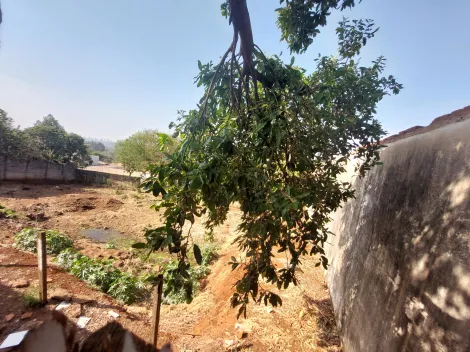 imagem 3 - Terreno de 1.000m² pronto para construir - Bonfim Paulista imagem 3 - Terreno de 1.000m² pronto para construir - Bonfim Paulista