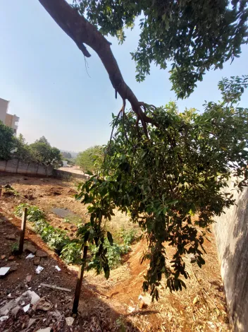 imagem 4 - Terreno de 1.000m² pronto para construir - Bonfim Paulista imagem 4 - Terreno de 1.000m² pronto para construir - Bonfim Paulista