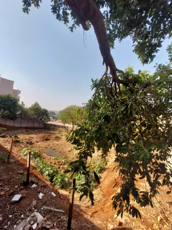 imagem 5 - Terreno de 1.000m² pronto para construir - Bonfim Paulista imagem 5 - Terreno de 1.000m² pronto para construir - Bonfim Paulista