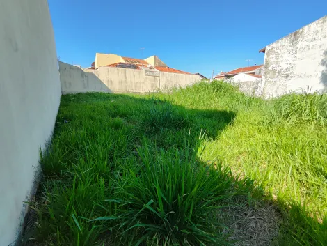 imagem 2 - Terreno - Padrão imagem 2 - Terreno - Padrão