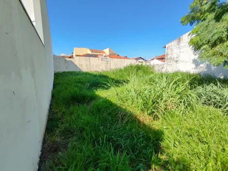imagem 3 - Terreno - Padrão imagem 3 - Terreno - Padrão