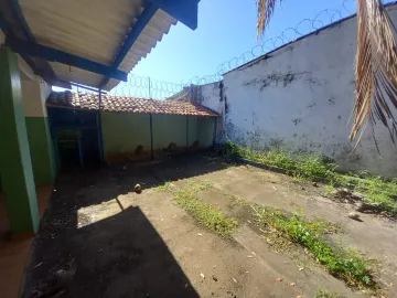 Comprar Comercial / Salão / Galpão / Armazém em Ribeirão Preto R$ 350.000,00 - Foto 3