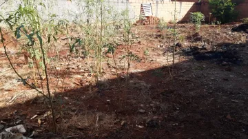 imagem 1 - TERRENO EM JARDINÓPOLIS imagem 1 - TERRENO EM JARDINÓPOLIS