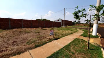 imagem 2 - Terreno - Padrão imagem 2 - Terreno - Padrão