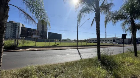 imagem 4 - Área de 2.904 m² à venda - Vila Albertina imagem 4 - Área de 2.904 m² à venda - Vila Albertina