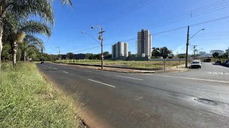 imagem 1 - Área de 2.904 m² à venda - Vila Albertina imagem 1 - Área de 2.904 m² à venda - Vila Albertina