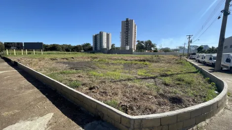 imagem 2 - Área de 2.904 m² à venda - Vila Albertina imagem 2 - Área de 2.904 m² à venda - Vila Albertina