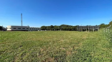 imagem 5 - Área de 2.904 m² à venda - Vila Albertina imagem 5 - Área de 2.904 m² à venda - Vila Albertina