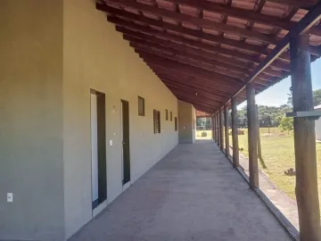 imagem 3 - Sítio a Venda na Região de Ribeirão Preto imagem 3 - Sítio a Venda na Região de Ribeirão Preto