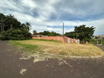 Comprar Terrenos / Padrão em Sertãozinho R$ 650.000,00 - Foto 1