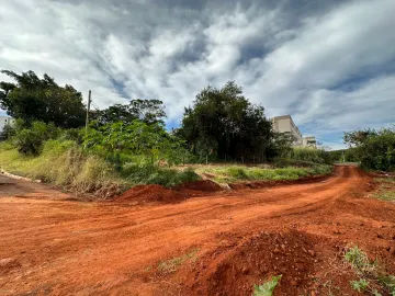 Comprar Terrenos / Padrão em Sertãozinho R$ 650.000,00 - Foto 6