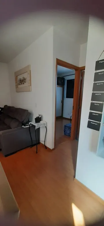 imagem 2 - Apartamento de 40m² com 02 quartos à venda - Jardim Ouro Branco imagem 2 - Apartamento de 40m² com 02 quartos à venda - Jardim Ouro Branco