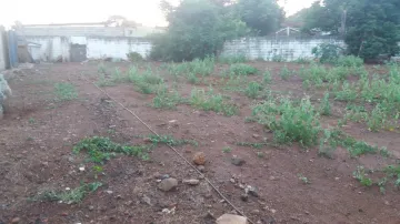 imagem 2 - EXCELENTE TERRENO NO PORTAL DOS IPÊS imagem 2 - EXCELENTE TERRENO NO PORTAL DOS IPÊS