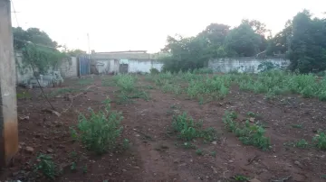 imagem 3 - EXCELENTE TERRENO NO PORTAL DOS IPÊS imagem 3 - EXCELENTE TERRENO NO PORTAL DOS IPÊS