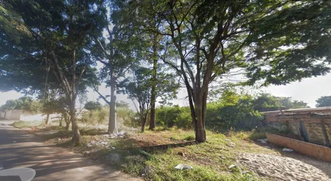 imagem 4 - Quatro terrenos com total de 2.046,50m² à venda - Jardim Salgado Filho imagem 4 - Quatro terrenos com total de 2.046,50m² à venda - Jardim Salgado Filho
