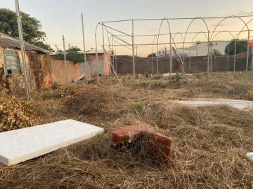 imagem 4 - Terreno de 1.056m² para locação e venda - Vila Tibério imagem 4 - Terreno de 1.056m² para locação e venda - Vila Tibério