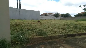 imagem 3 - Terreno de 500m² para locação e venda - City Ribeirão imagem 3 - Terreno de 500m² para locação e venda - City Ribeirão