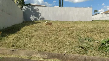 imagem 1 - Terreno de 500m² para locação e venda - City Ribeirão imagem 1 - Terreno de 500m² para locação e venda - City Ribeirão