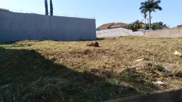 imagem 2 - Terreno de 500m² para locação e venda - City Ribeirão imagem 2 - Terreno de 500m² para locação e venda - City Ribeirão