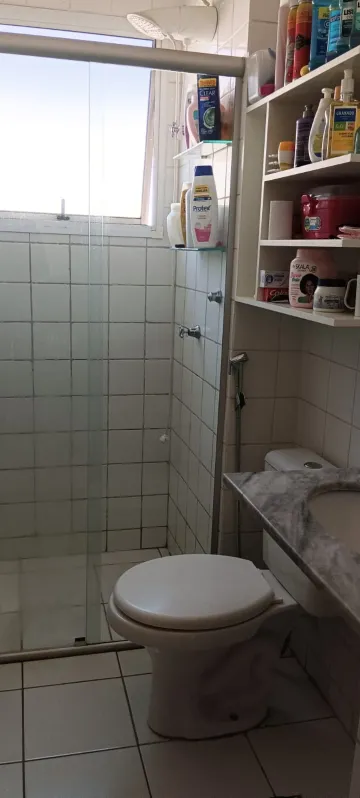 imagem 5 - EXCELENTE APARTAMENTO PRÓXIMO À RUA JAVARI imagem 5 - EXCELENTE APARTAMENTO PRÓXIMO À RUA JAVARI