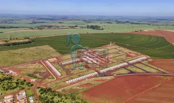 imagem 1 - EXCELENTE TERRENO À VENDA EM CRAVINHOS imagem 1 - EXCELENTE TERRENO À VENDA EM CRAVINHOS