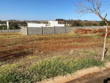 imagem 2 - TERRENO MISTO NO SANTA MARTHA imagem 2 - TERRENO MISTO NO SANTA MARTHA