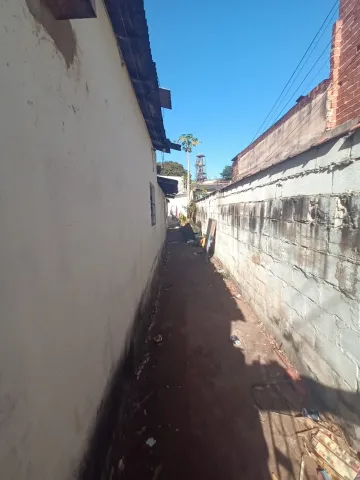 imagem 2 - EDICULAS NO IPIRANGA imagem 2 - EDICULAS NO IPIRANGA