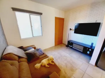 imagem 2 - Apartamento - Padrão imagem 2 - Apartamento - Padrão