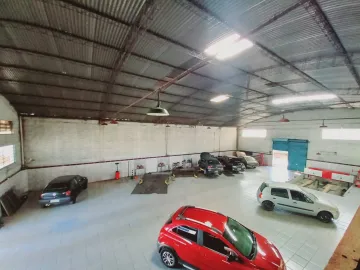 imagem 2 - Galpão comercial de 533m² para locação - Vila Tiberio imagem 2 - Galpão comercial de 533m² para locação - Vila Tiberio
