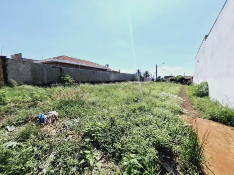 imagem 5 - Terreno de 442m² à venda - Planalto Verde imagem 5 - Terreno de 442m² à venda - Planalto Verde
