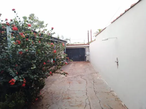 imagem 5 - Casa no parque ribeirão imagem 5 - Casa no parque ribeirão