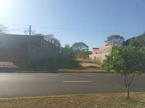 Terrenos / Padrão em Ribeirão Preto 