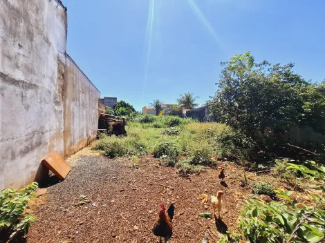 imagem 1 - Terreno - Padrão imagem 1 - Terreno - Padrão