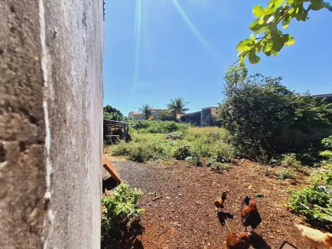 imagem 3 - Terreno - Padrão imagem 3 - Terreno - Padrão
