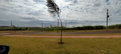 Comprar Terrenos / Padrão em Ribeirão Preto R$ 150.000,00 - Foto 1