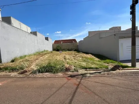 imagem 2 - ÓTIMO TERRENO NO JARDIM BOTÂNICO EM SERTÃOZINHO imagem 2 - ÓTIMO TERRENO NO JARDIM BOTÂNICO EM SERTÃOZINHO