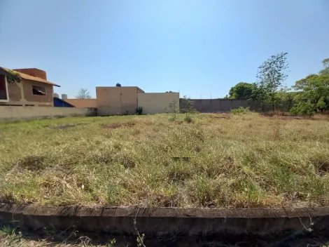 imagem 1 - Terreno - Padrão imagem 1 - Terreno - Padrão
